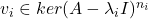 v_i \in ker(A - \lambda_iI)^{n_i}