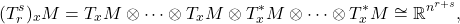 \[ (T_r^s)_xM = T_xM \otimes \cdots \otimes T_xM \otimes T_x^*M \otimes \cdots \otimes T_x^*M \cong \mathbb{R}^{n^{r + s}}, \]