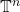 \mathbb{T}^n