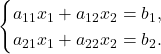 \begin{equation*}\begin{cases} a_{11}x_1 + a_{12}x_2 = b_1, \\ a_{21}x_1 + a_{22}x_2 = b_2. \end{cases}\end{equation*}