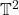 \mathbb{T}^2