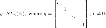 \[ g \cdot SL_n(\mathbb{K}), \text{ where } g = \begin{bmatrix}\epsilon & & & \\ & 1 & & \\ & & \ddots & \\ & & & 1\end{bmatrix},\; \epsilon \neq 0. \]