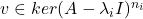 v \in ker(A - \lambda_iI)^{n_i}