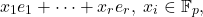 \[ x_1e_1 + \cdots + x_re_r,\; x_i \in \mathbb{F}_p, \]