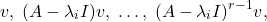 \[ v,\; (A - \lambda_iI)v,\; \ldots,\; (A - \lambda_iI)^{r - 1}v, \]