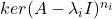 ker(A - \lambda_iI)^{n_i}