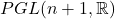 PGL(n + 1, \mathbb{R})