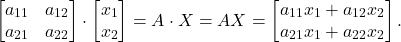 \[ \begin{bmatrix}a_{11} & a_{12} \\ a_{21} & a_{22}\end{bmatrix} \cdot \begin{bmatrix}x_1 \\ x_2\end{bmatrix} = A \cdot X = AX = \begin{bmatrix}a_{11}x_1 + a_{12}x_2 \\ a_{21}x_1 + a_{22}x_2\end{bmatrix}. \]